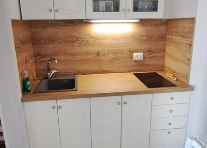 Διαμέρισμα Apartma Rian Κόπερ